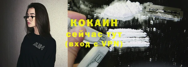 ГАЛЛЮЦИНОГЕННЫЕ ГРИБЫ Пестово