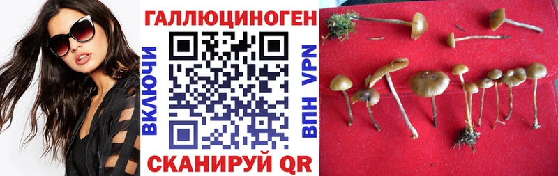 нарко площадка Telegram  Котельниково  Псилоцибиновые грибы мухоморы 